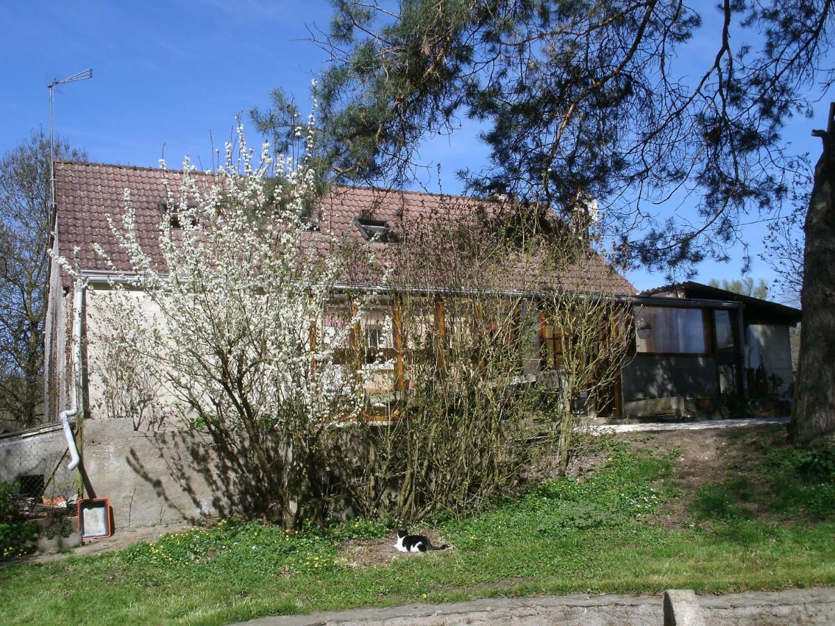 Chambres D'Hotes Du Moulin Saint-Julien-sur-Cher Eksteriør bilde